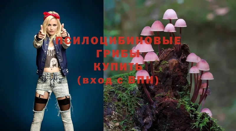 купить  сайты  Николаевск-на-Амуре  Галлюциногенные грибы Psilocybine cubensis 